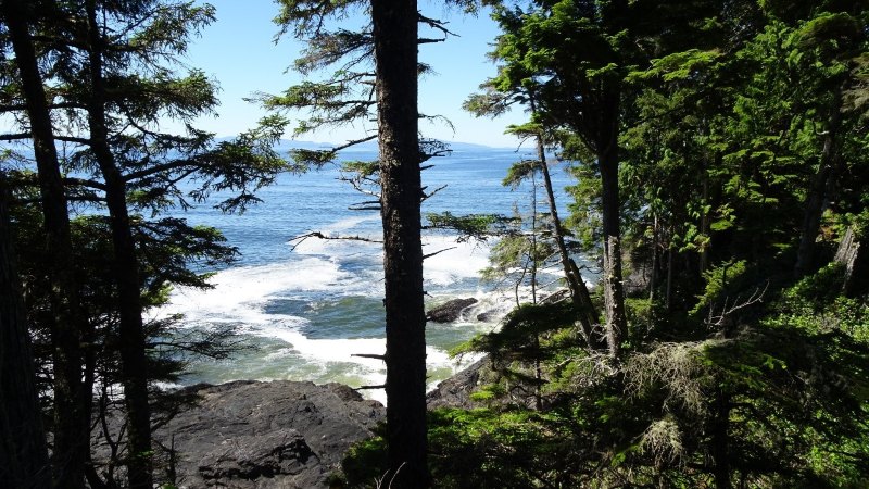 Juan de Fuca Trail
