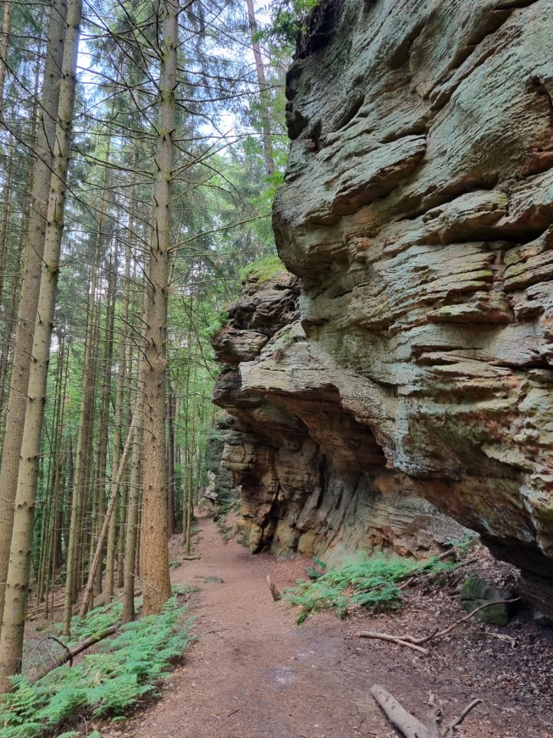 Mullerthal Trail_1