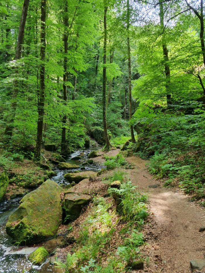Mullerthal Trail