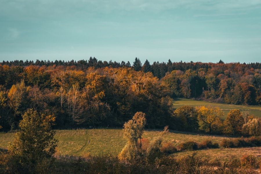 Dutch Mountain Trail