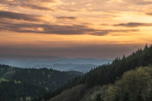 Black Forest