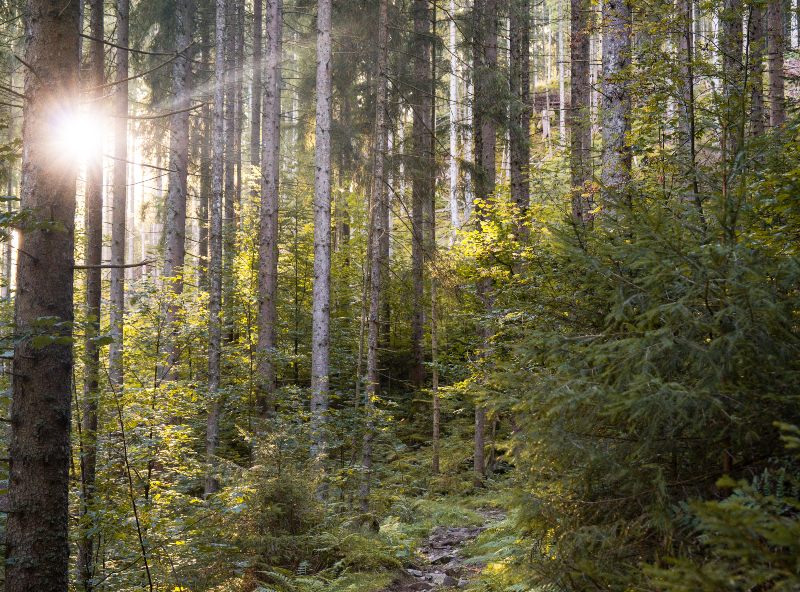 Wolf Trail thru-hike